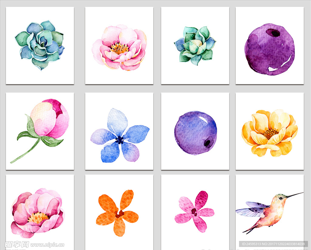 水彩手绘花朵鲜花花卉装饰素材