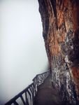 金佛山