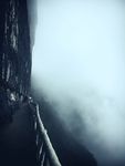 金佛山