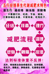 五行经络养生代谢减肥术