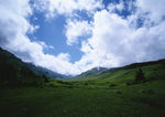 草地大山