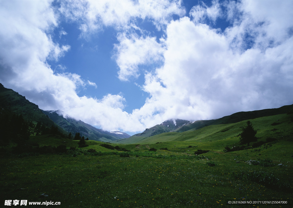 草地大山