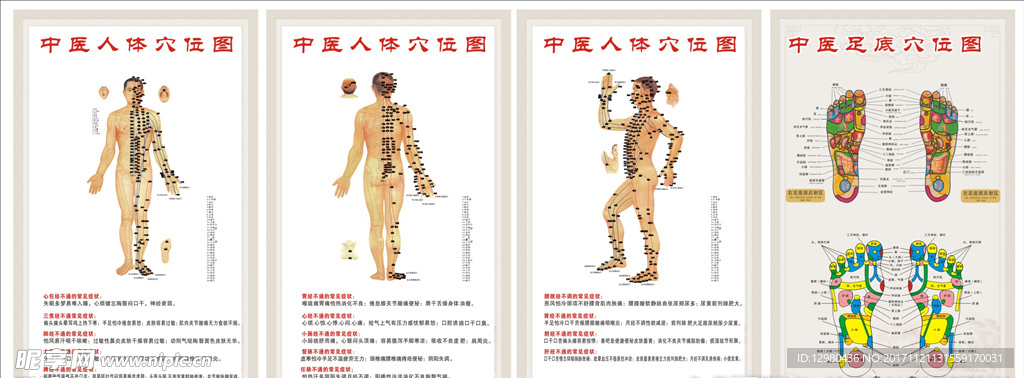 穴位图
