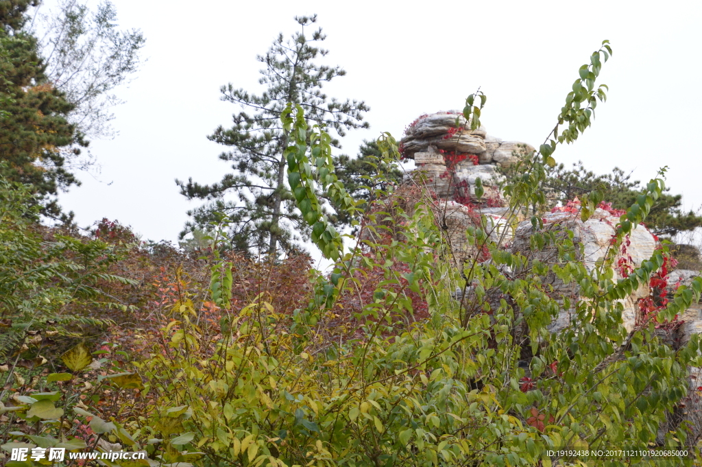 北宫彩叶风景