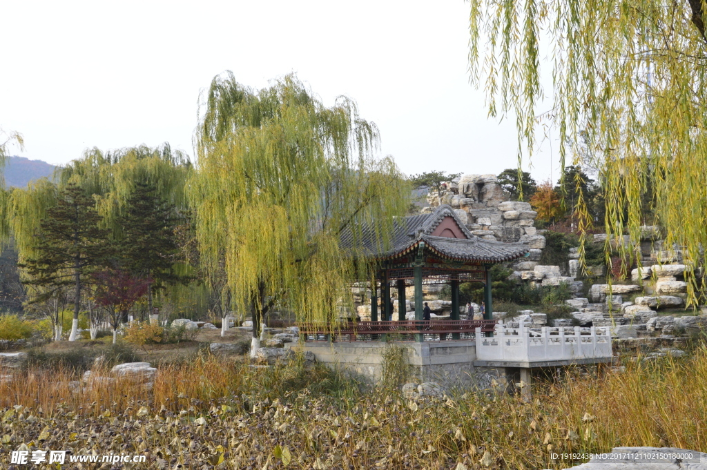 北宫彩叶风景