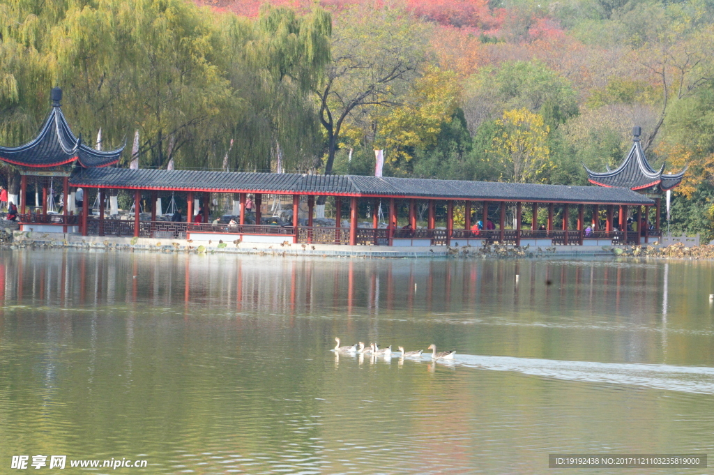 北宫彩叶风景