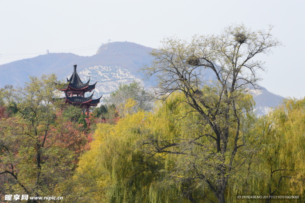 北宫彩叶风景