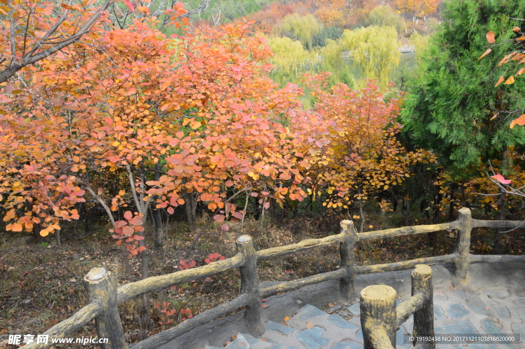 北宫彩叶风景