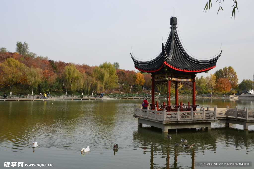 北宫彩叶风景