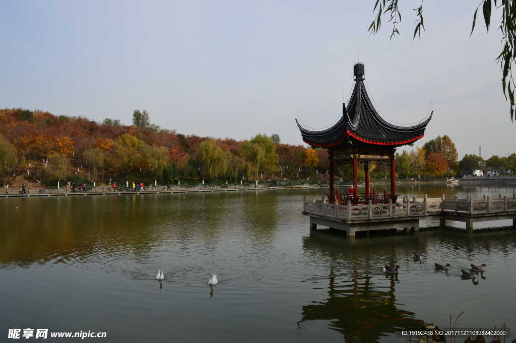 北宫彩叶风景