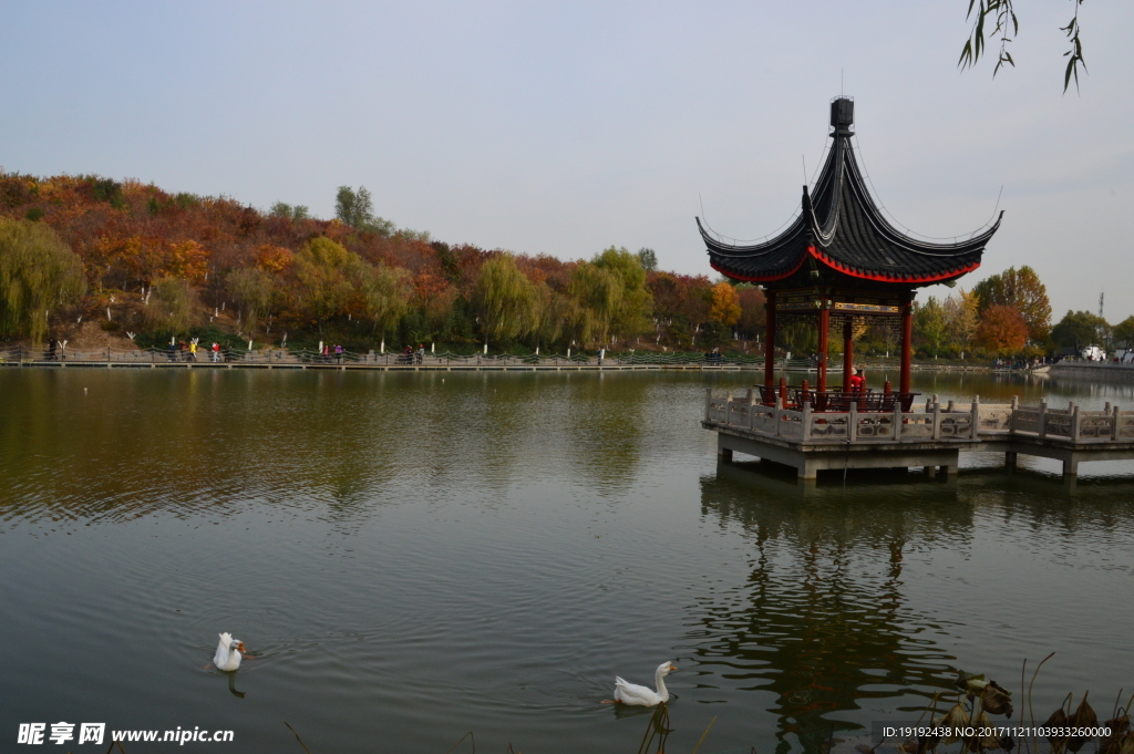 北宫彩叶风景