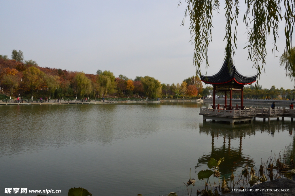 北宫彩叶风景