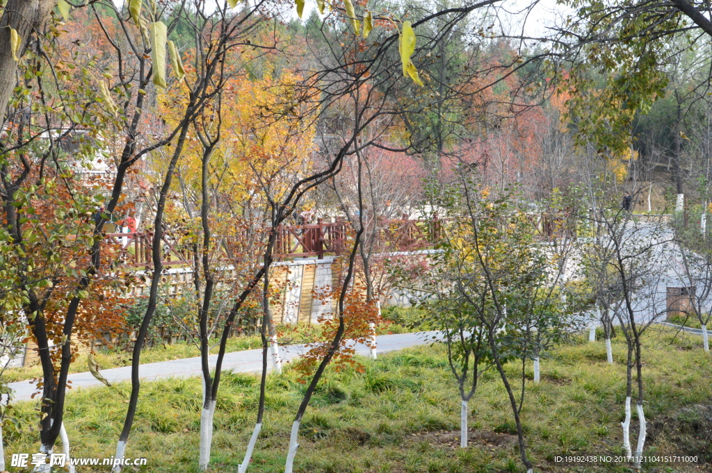 北宫彩叶风景