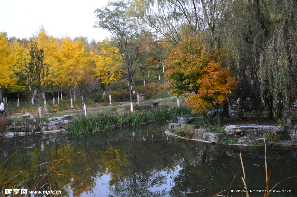 北宫彩叶风景