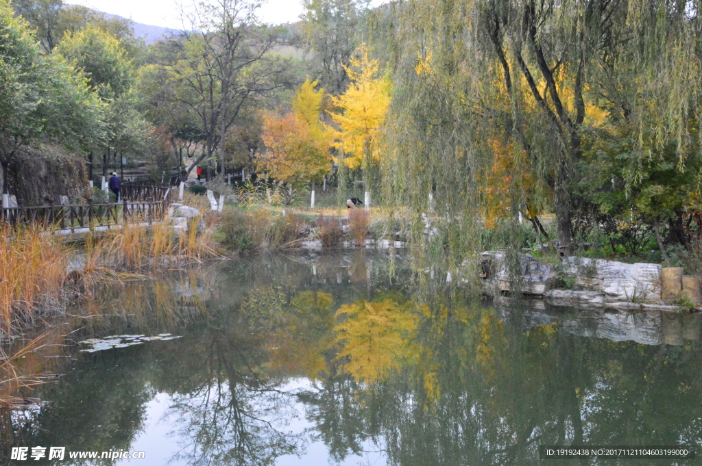 北宫彩叶风景