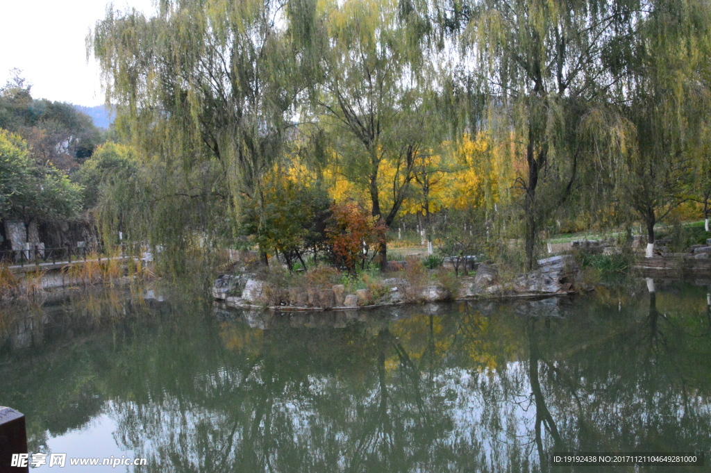 北宫彩叶风景