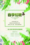 春季招聘海报