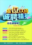 诚聘精英海报