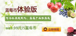 蓝莓币体验版购买banner