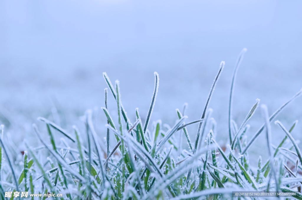 冰雪草地