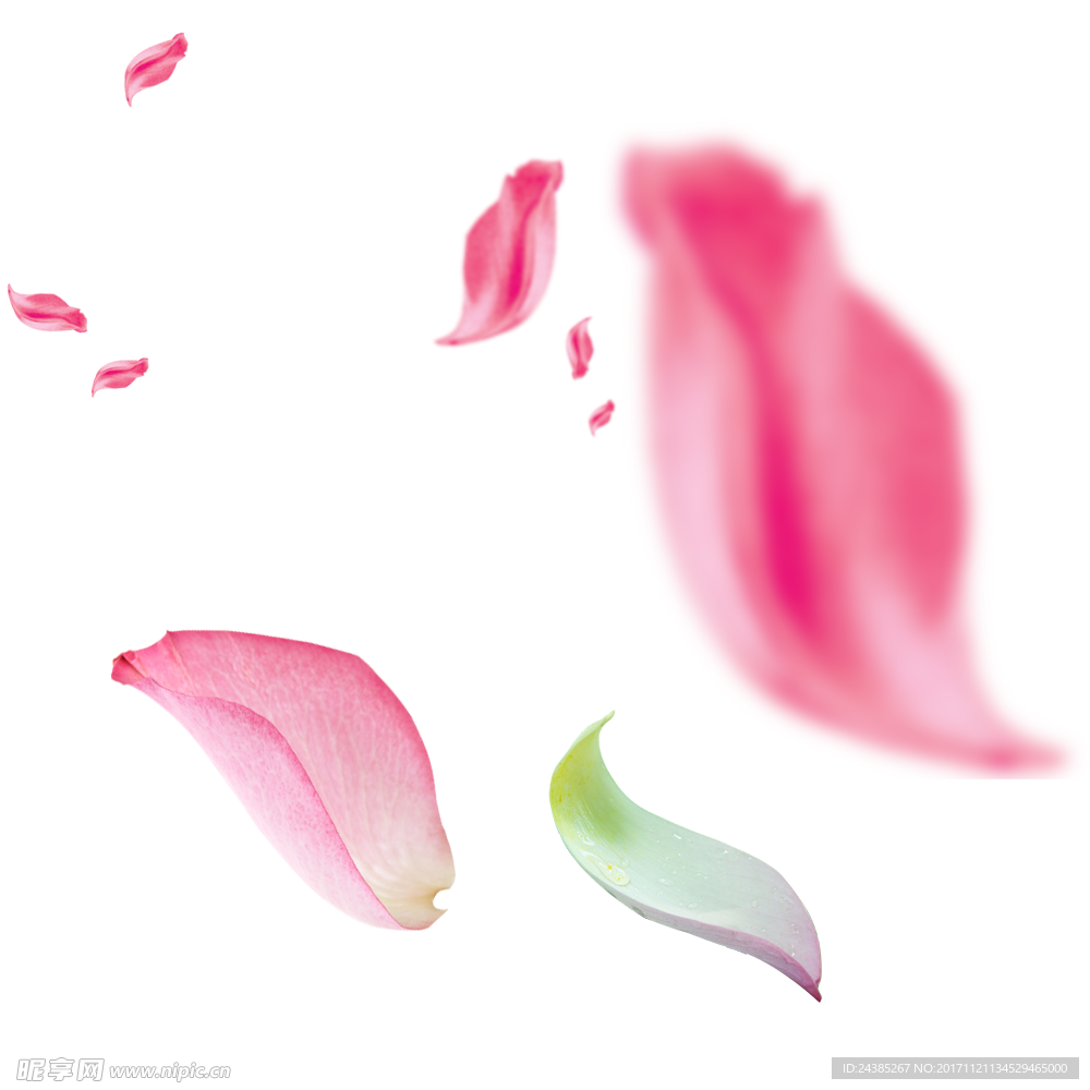 花瓣