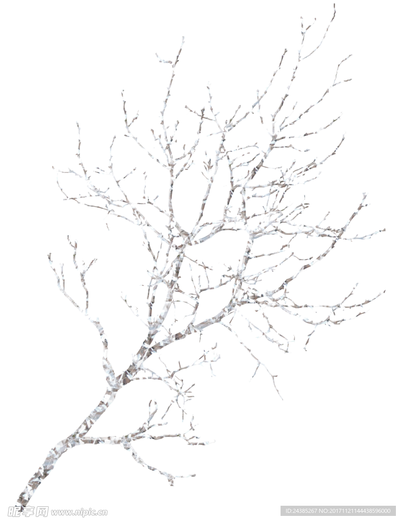 雪压树枝