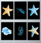 唯美海洋海星珊瑚素材