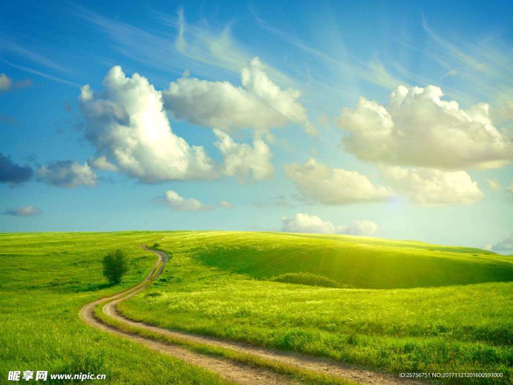 自然风景