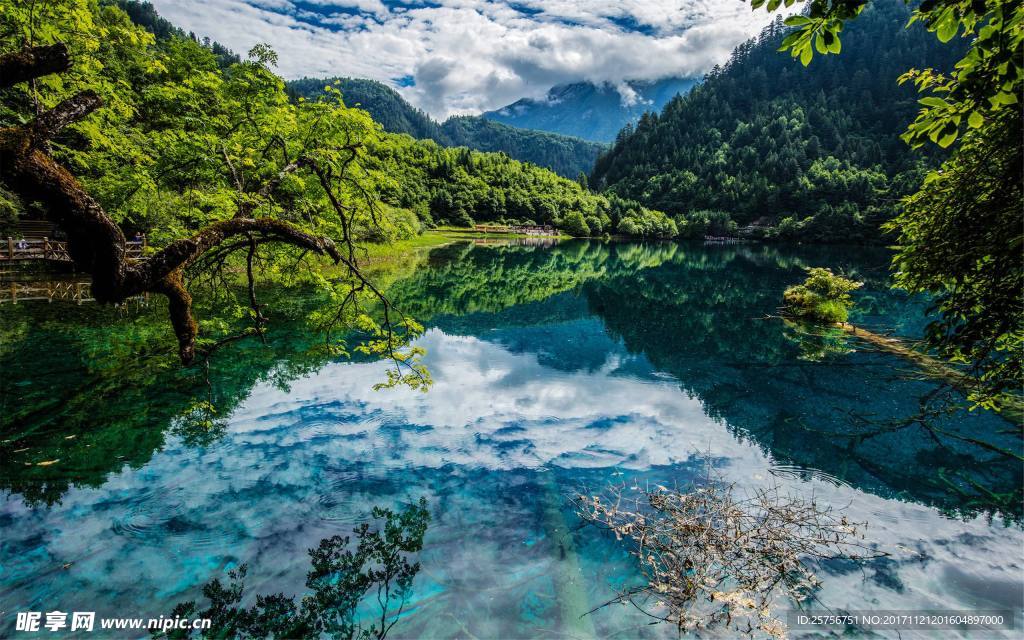 自然风景