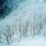 雪景