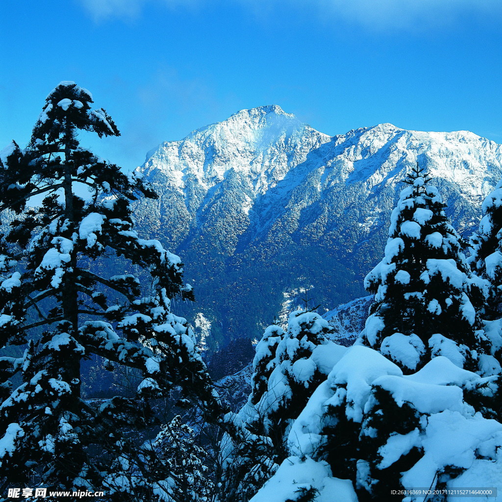 大山雪景