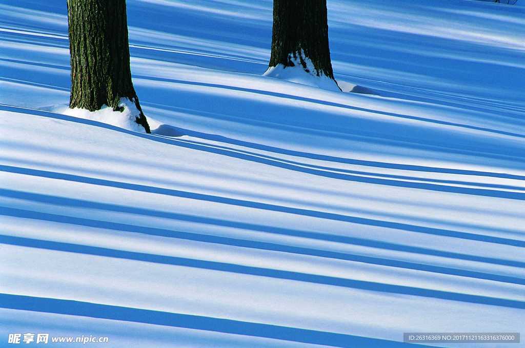 雪景