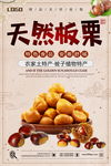 板栗