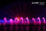 合肥万达大湖秀