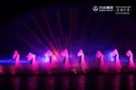合肥万达大湖秀