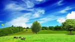 自然风景