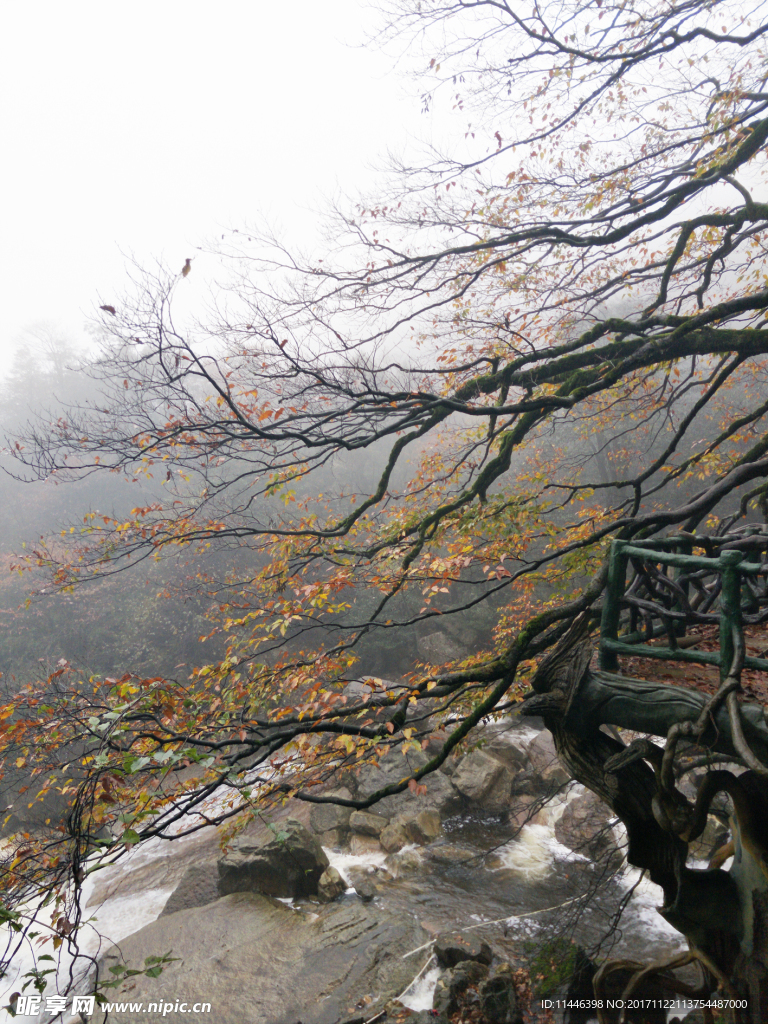 小草坝