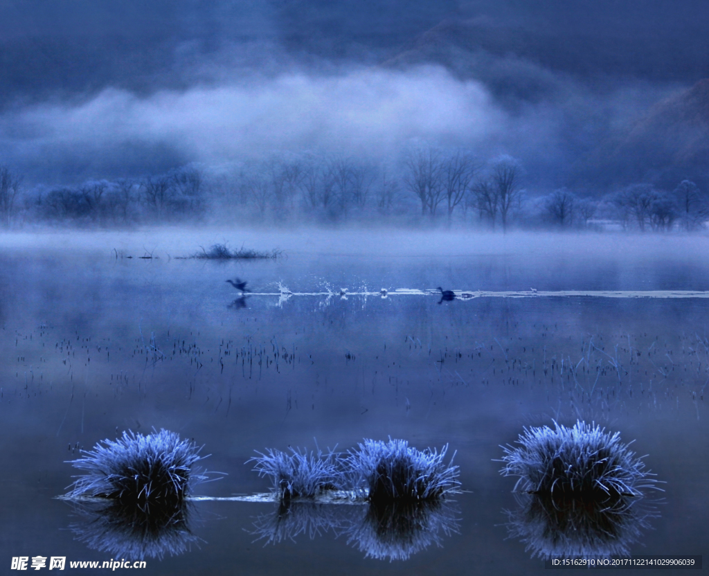 神农架大九湖湿地风景