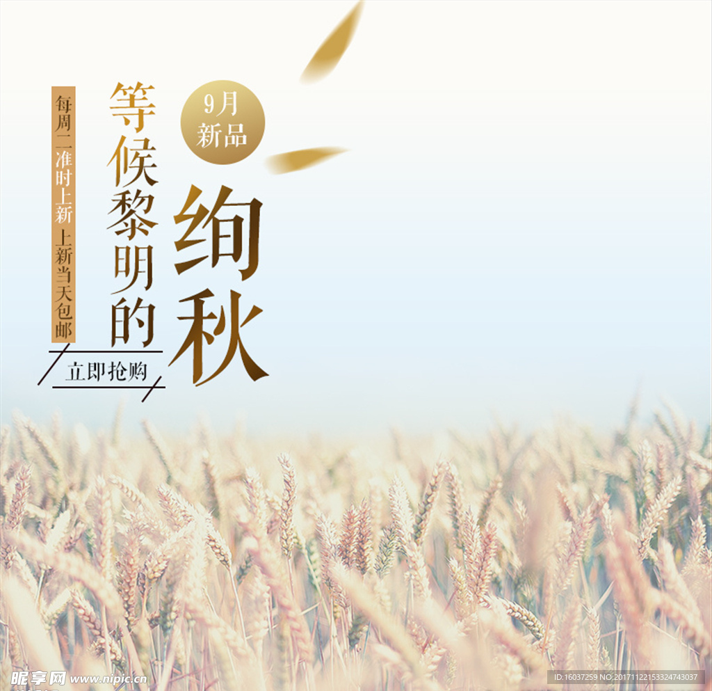 淘宝主图