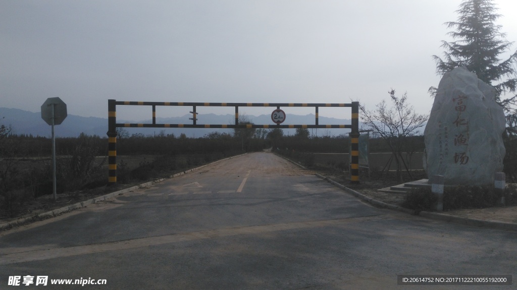 乡村道路风景