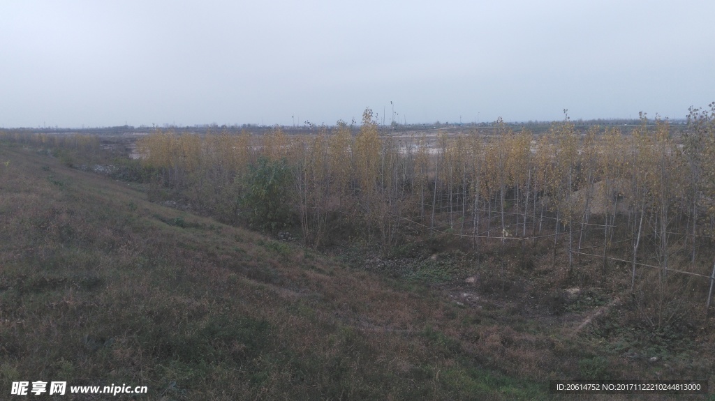 深秋风景