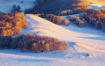 极致雪景