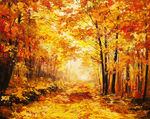 秋天树林小路图片