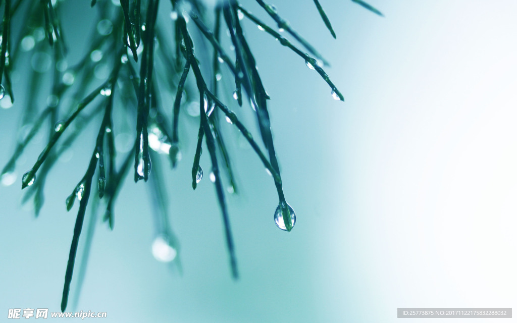 晶莹水滴素材