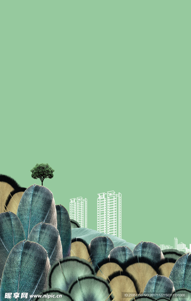 羽毛