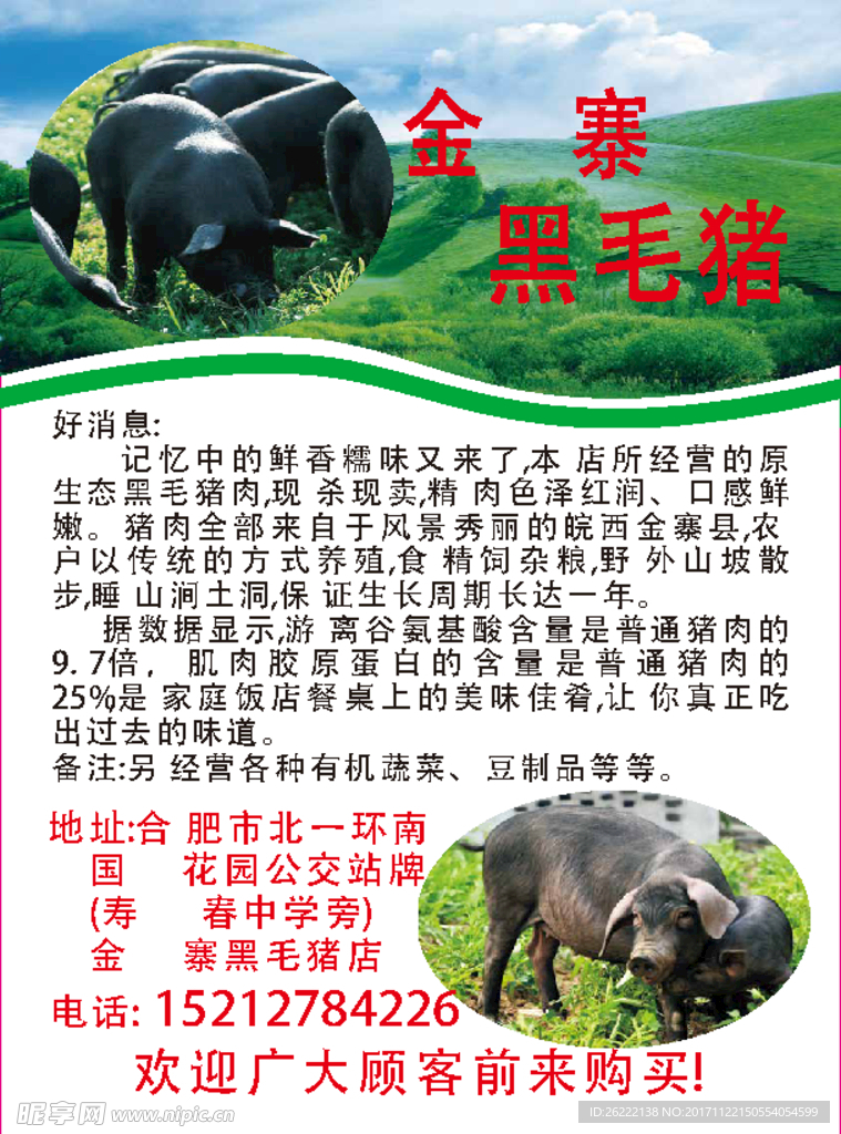 黑毛猪单页
