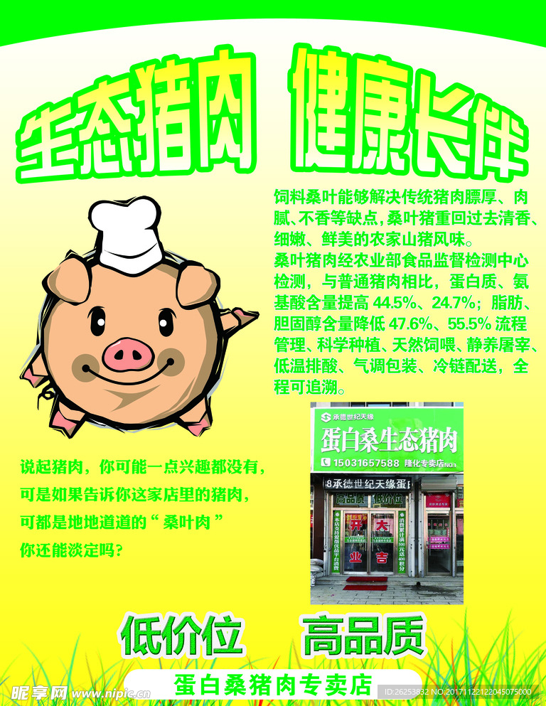 蛋白桑