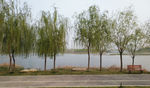 湖边美景