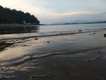 美景
