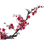 梅花图 腊梅花 国画梅花 红梅